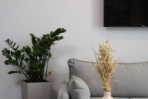 Апарт-отель Be The One Hotel. Люкс двухместный с сауной и террасой 2