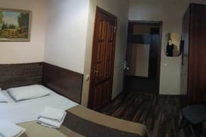 Отель Дарницкий. Делюкс двухместный  4